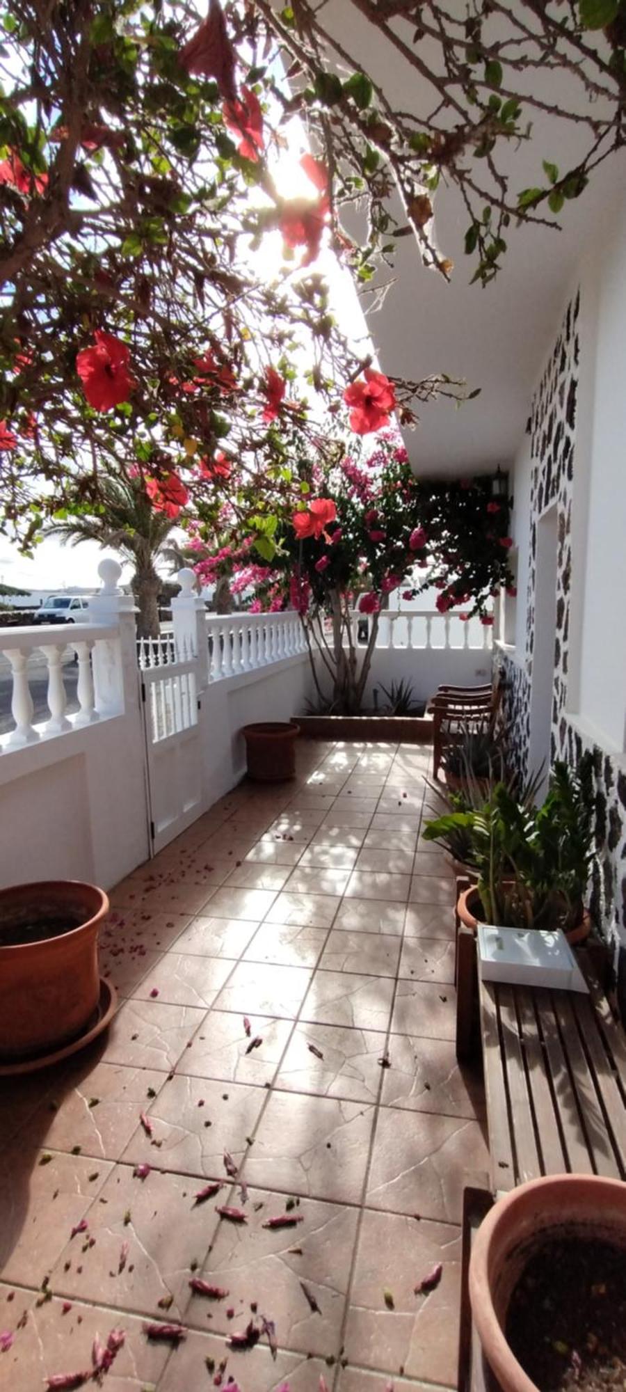 Casa M & A Villa La Oliva Ngoại thất bức ảnh
