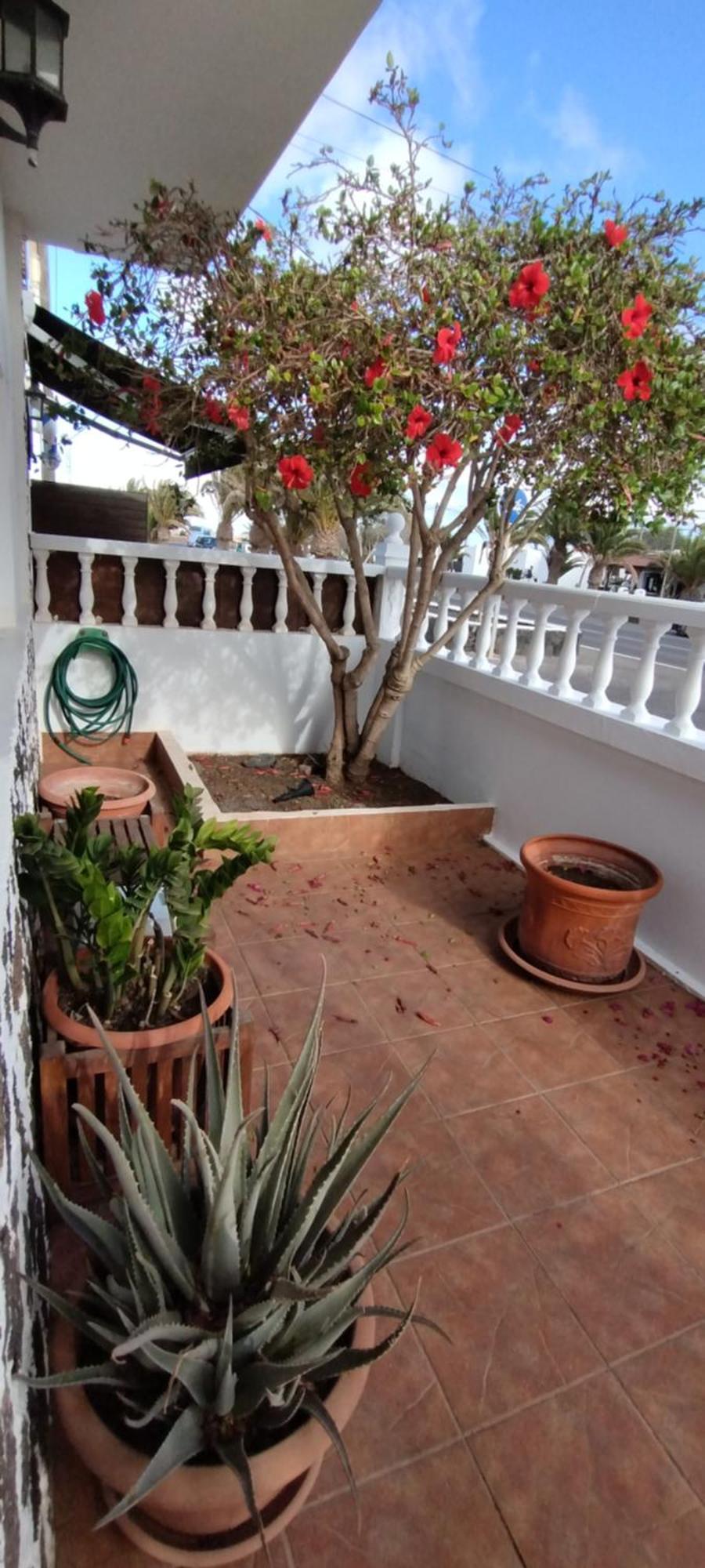 Casa M & A Villa La Oliva Ngoại thất bức ảnh